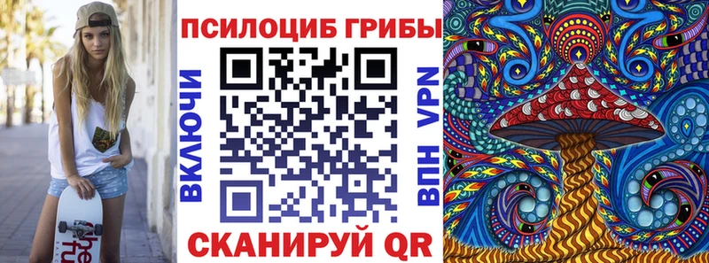 Псилоцибиновые грибы прущие грибы  Светогорск 